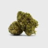 Amnesia Haze – THC: 19%