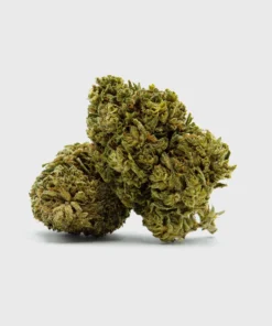 Amnesia Haze – THC: 19%