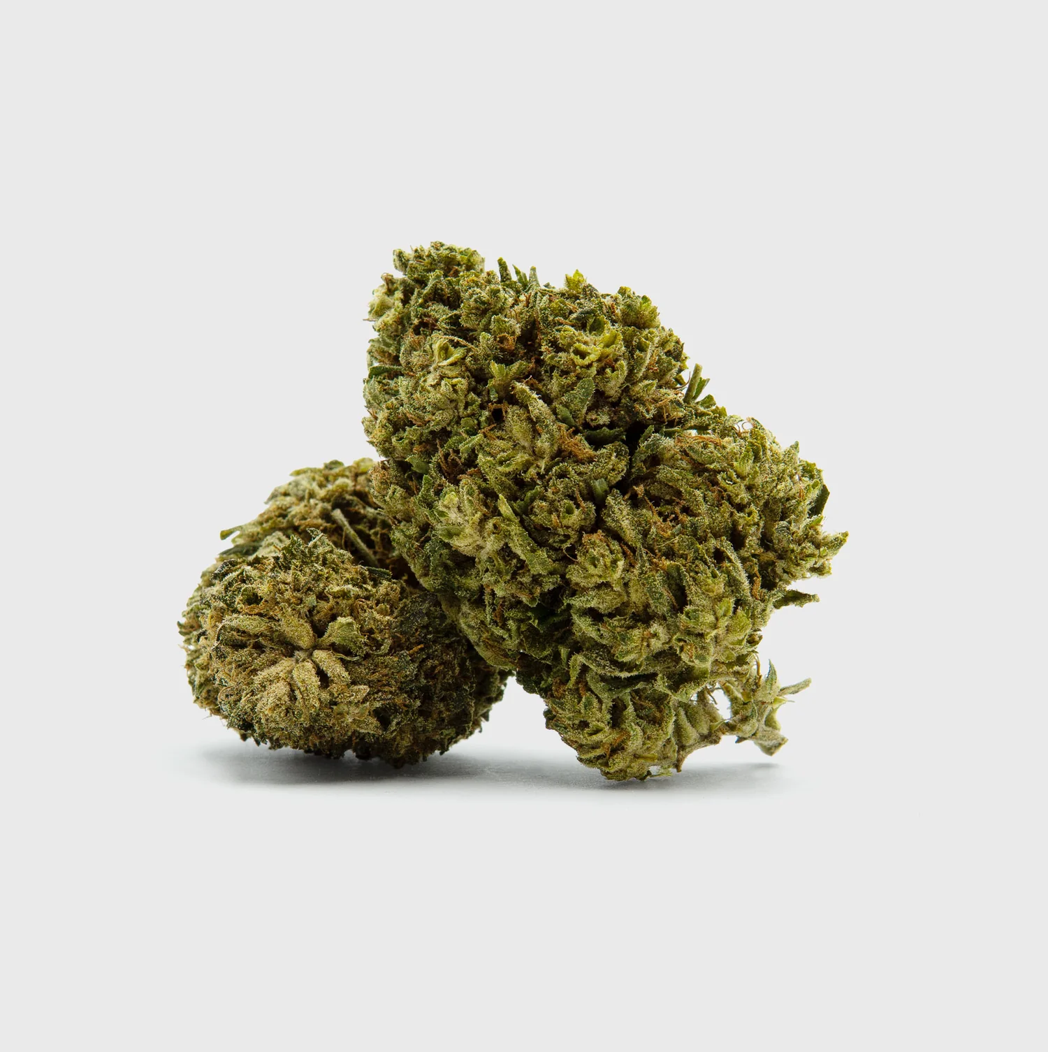 Amnesia Haze – THC: 19%