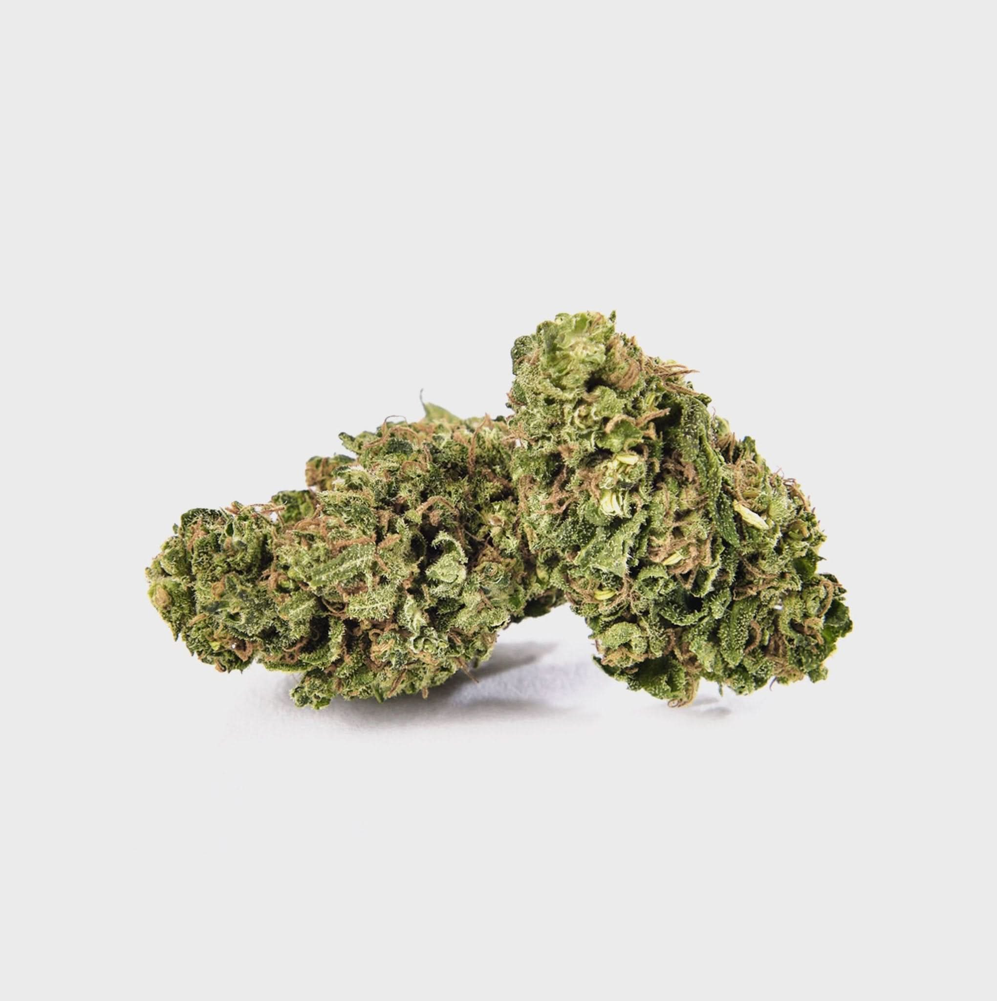 Eistorte – THC: 22 %