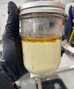 Banana Conda Live Rosin