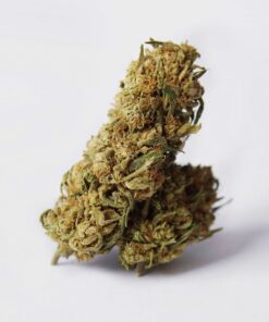 Critical Kush – THC: 18 %