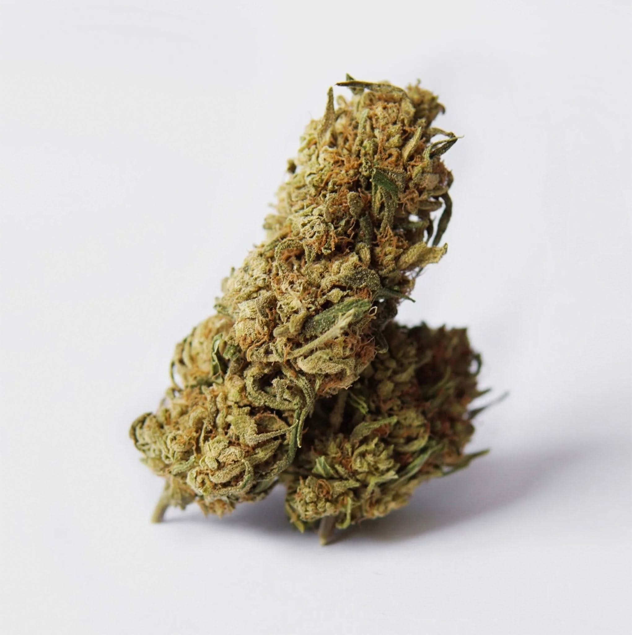 Critical Kush – THC: 18 %