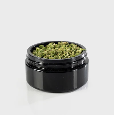 Blueberry OG – THC: 15 %