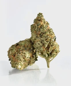 Do Si Dos – THC: 20%