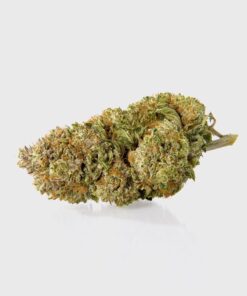 Gorilla Glue Nr. 4 – THC: 24 %