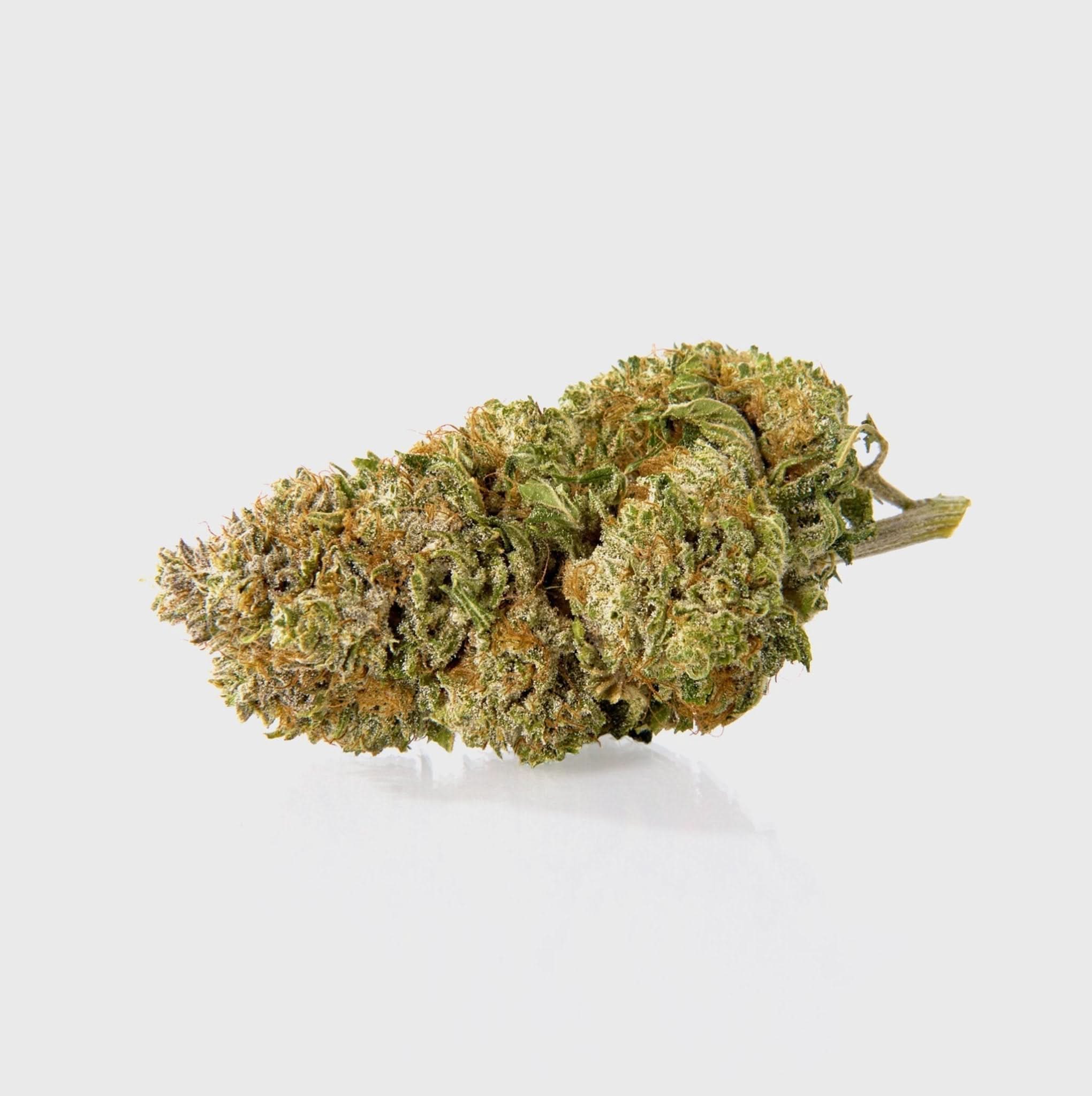 Gorilla Glue Nr. 4 – THC: 24 %