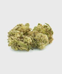 Pfadfinderinnen-Kekse – THC: 25 %