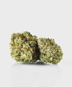 Lemon Haze – THC: 19 %