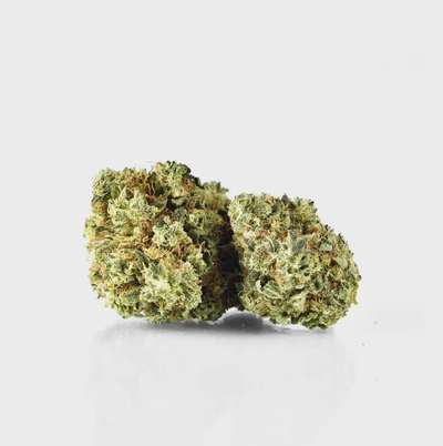 Lemon Haze – THC: 19 %